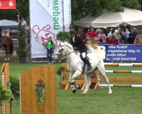 Reitturnier Aschersleben 2017