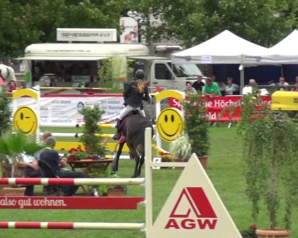Reitturnier Aschersleben 2017