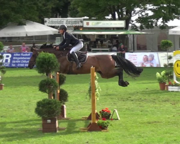 Reitturnier Aschersleben 2017