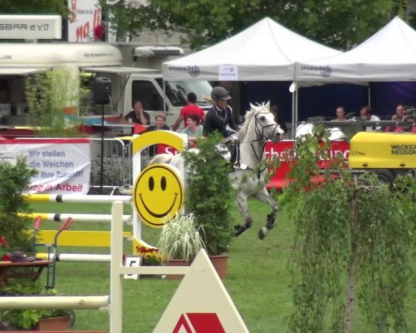 Reitturnier Aschersleben 2017