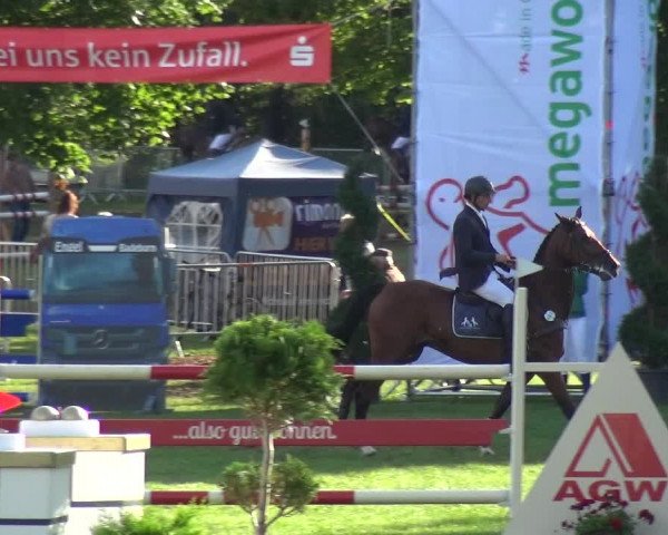 Reitturnier Aschersleben 2017
