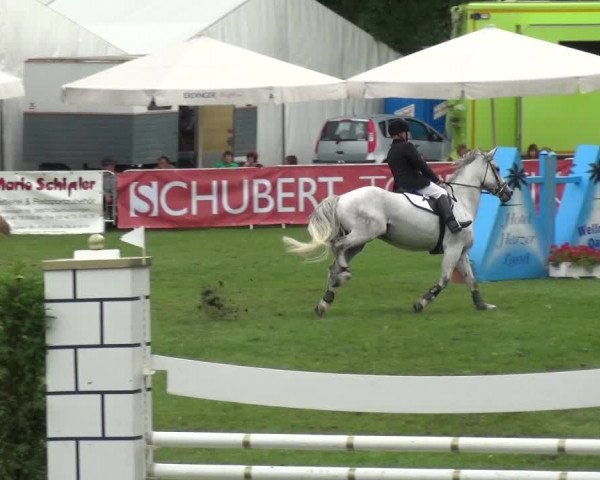 Reitturnier Aschersleben 2017