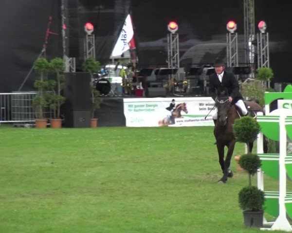 Reitturnier Aschersleben 2017