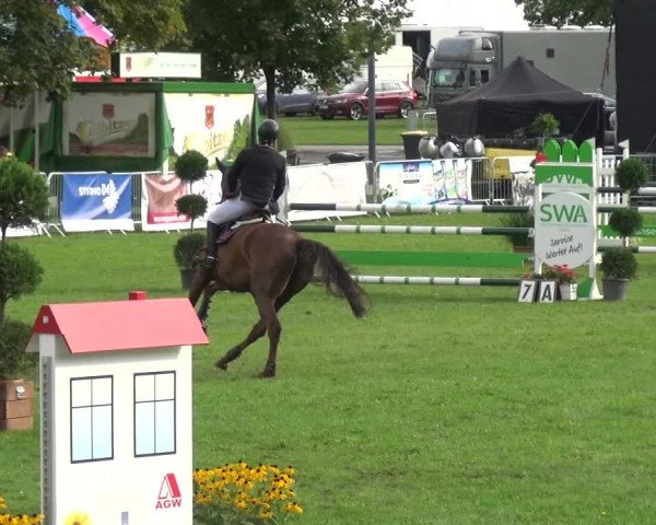 Reitturnier Aschersleben 2017