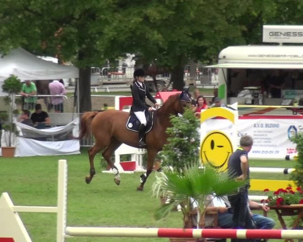 Reitturnier Aschersleben 2017