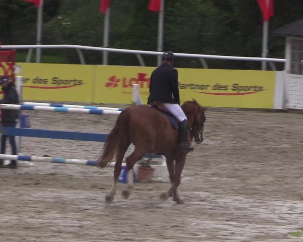 Summermeeting der Springreiter in der ParkArena 2017