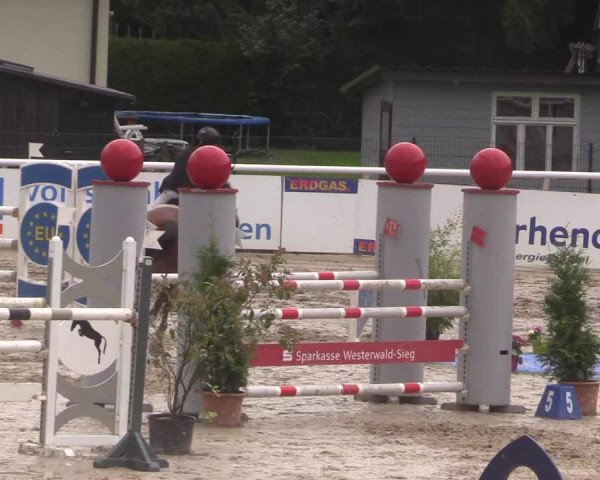 Summermeeting der Springreiter in der ParkArena 2017