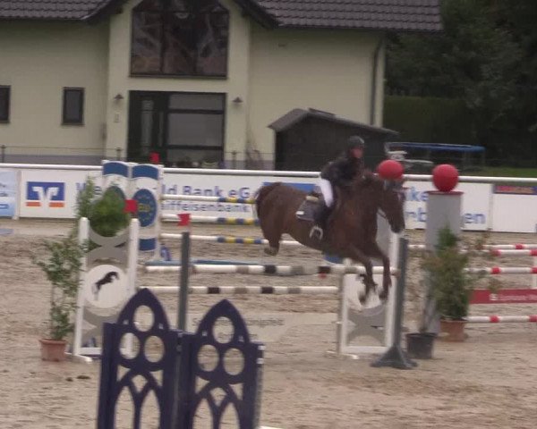 Summermeeting der Springreiter in der ParkArena 2017