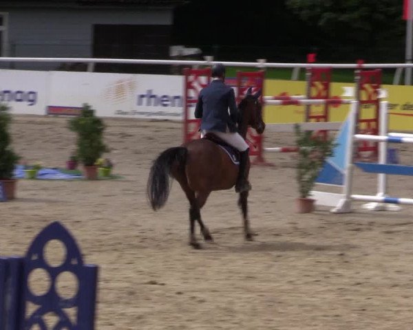 Summermeeting der Springreiter in der ParkArena 2017