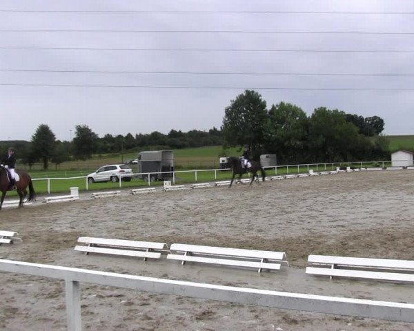 Reitturnier Menden 2017