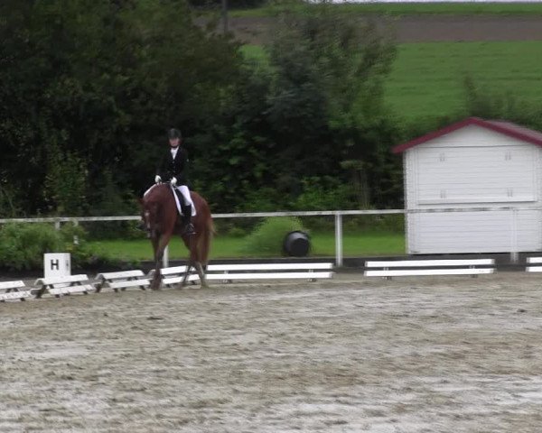 Reitturnier Menden 2017