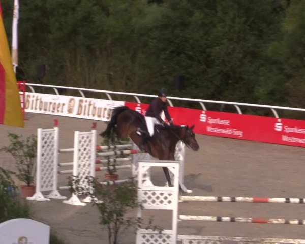 Summermeeting der Springreiter in der ParkArena 2017