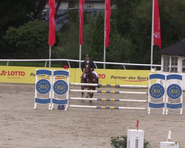 Summermeeting der Springreiter in der ParkArena 2017