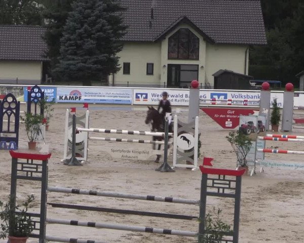Summermeeting der Springreiter in der ParkArena 2017