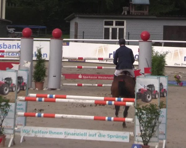 Summermeeting der Springreiter in der ParkArena 2017