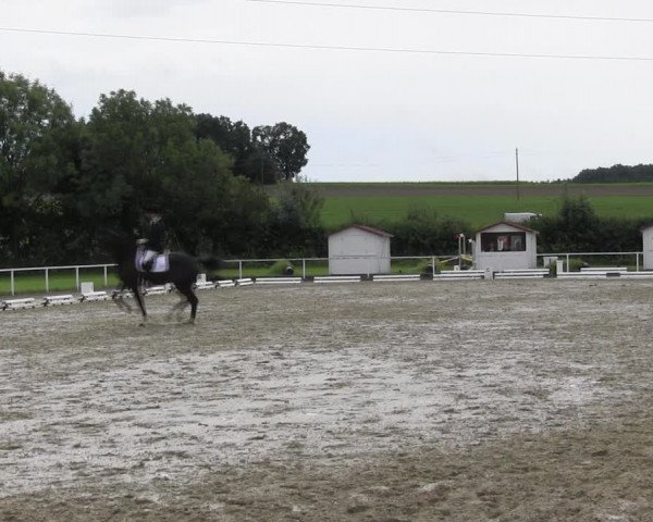 Reitturnier Menden 2017