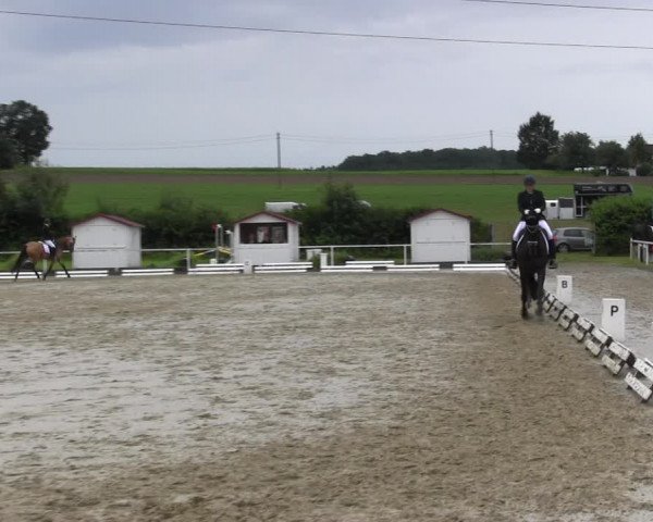 Reitturnier Menden 2017
