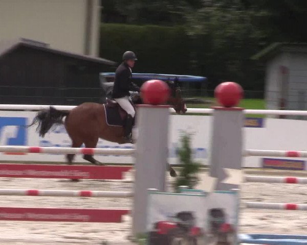 Summermeeting der Springreiter in der ParkArena 2017