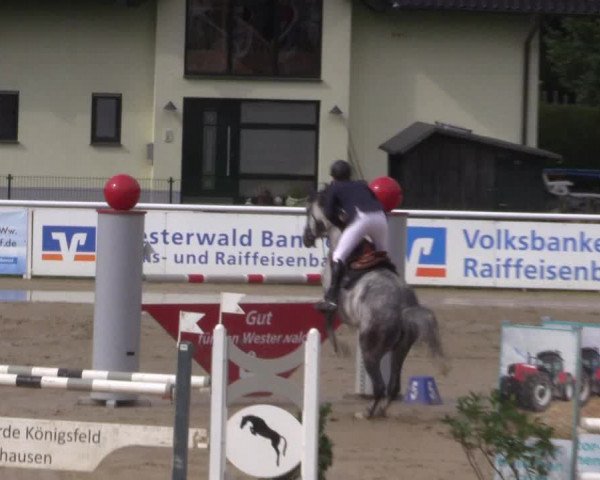 Summermeeting der Springreiter in der ParkArena 2017