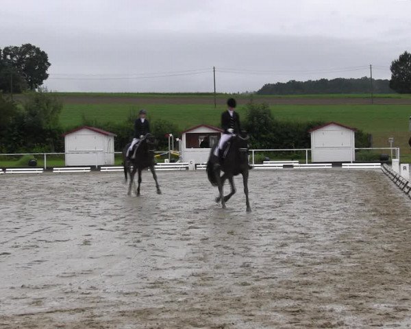 Reitturnier Menden 2017