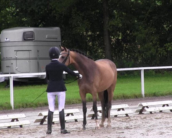 Reitturnier Menden 2017