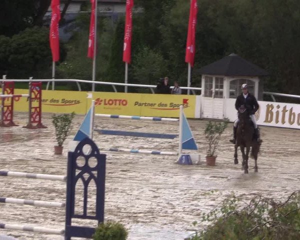 Summermeeting der Springreiter in der ParkArena 2017