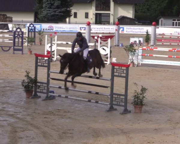 Summermeeting der Springreiter in der ParkArena 2017