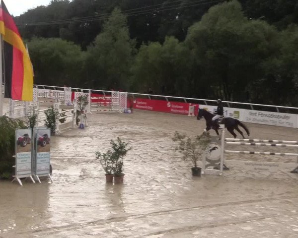 Summermeeting der Springreiter in der ParkArena 2017
