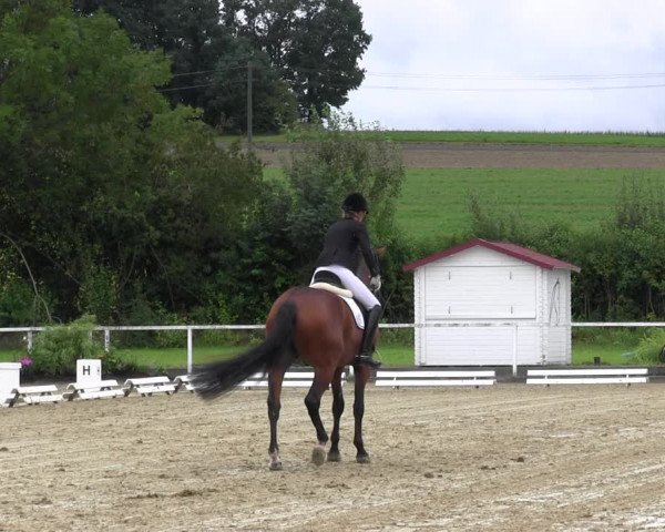 Reitturnier Menden 2017
