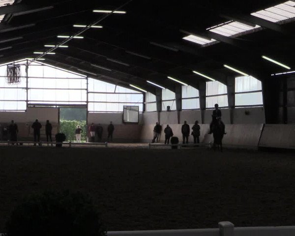 Reitturnier Datteln 2017