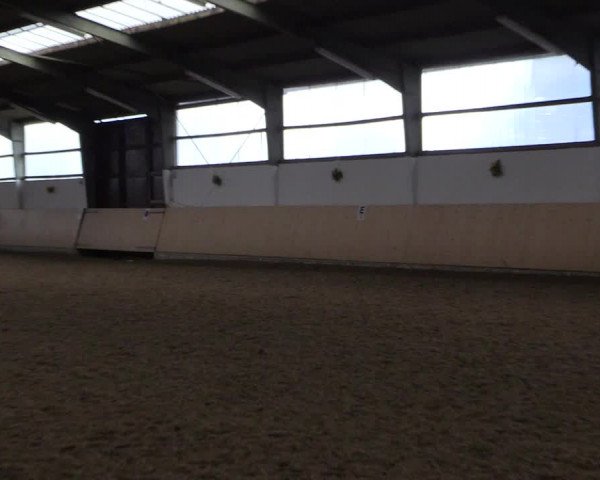 Reitturnier Datteln 2017