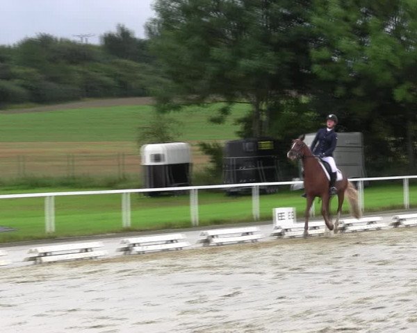 Reitturnier Menden 2017