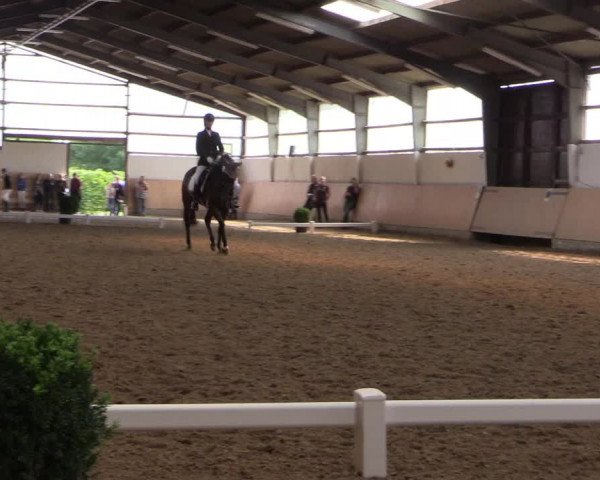 Reitturnier Datteln 2017
