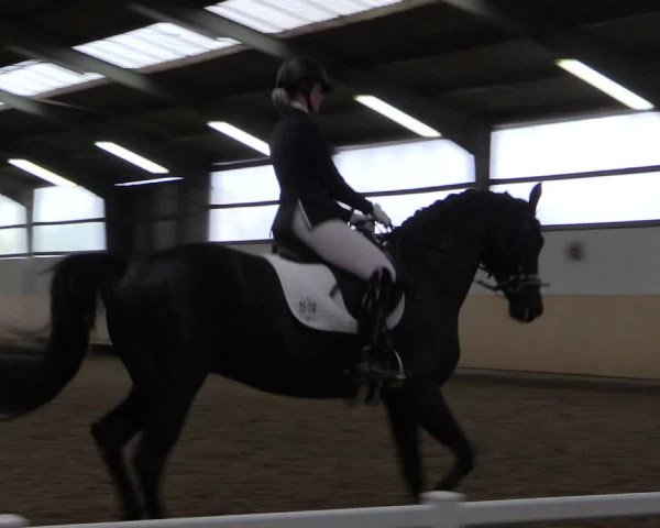 Reitturnier Datteln 2017