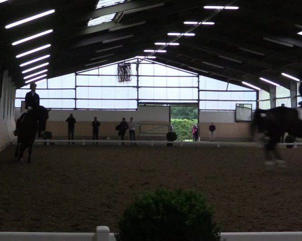 Reitturnier Datteln 2017