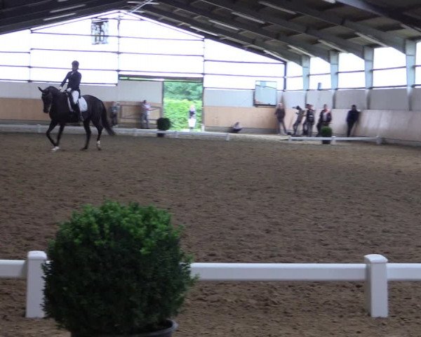 Reitturnier Datteln 2017