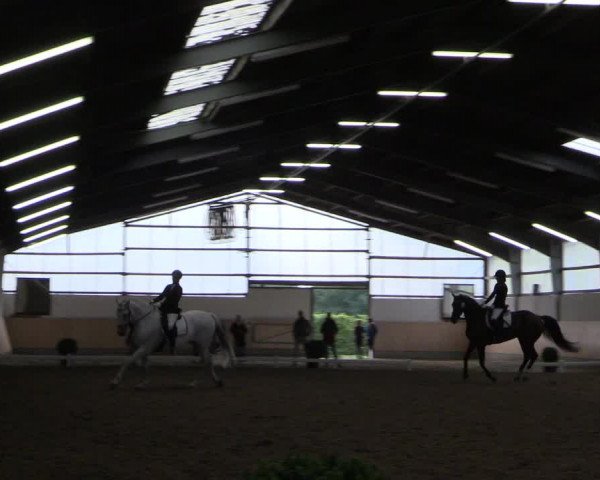 Reitturnier Datteln 2017