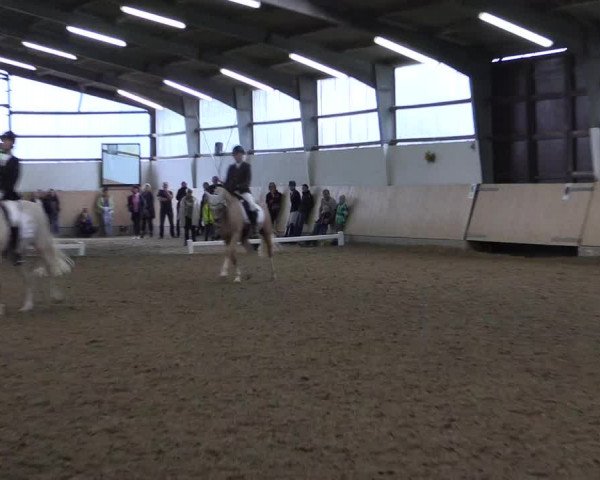Reitturnier Datteln 2017