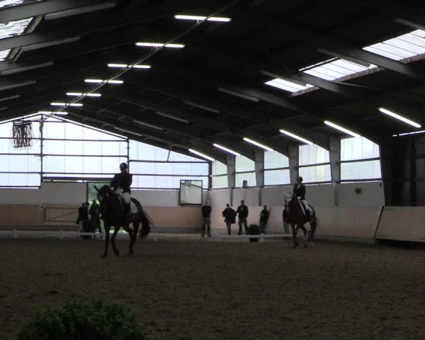 Reitturnier Datteln 2017