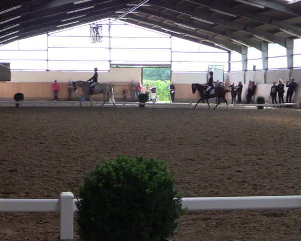 Reitturnier Datteln 2017