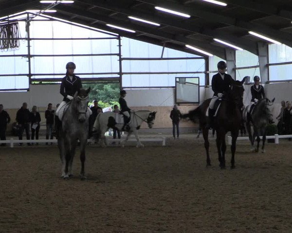 Reitturnier Datteln 2017