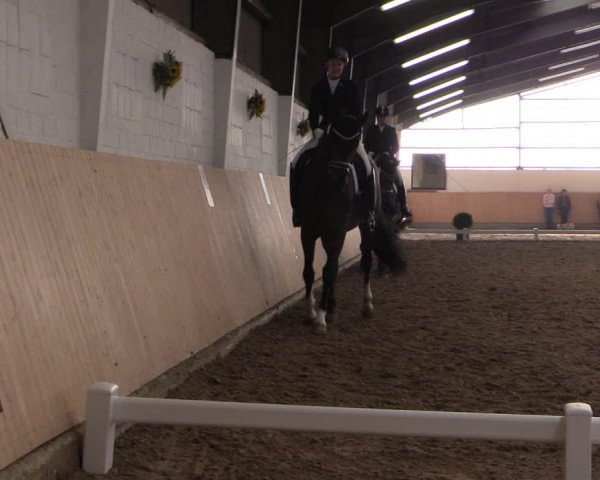 Reitturnier Datteln 2017