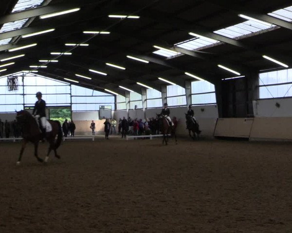 Reitturnier Datteln 2017