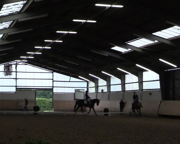 Reitturnier Datteln 2017
