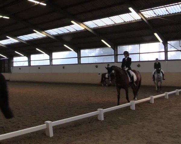 Reitturnier Datteln 2017