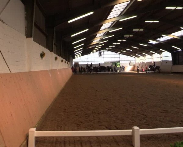 Reitturnier Datteln 2017
