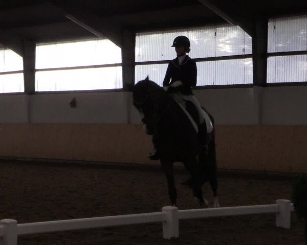 Reitturnier Datteln 2017