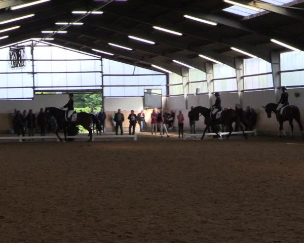 Reitturnier Datteln 2017