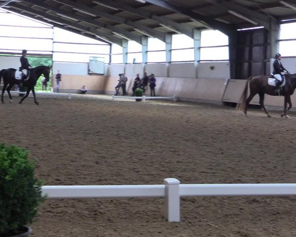 Reitturnier Datteln 2017