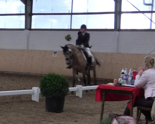 Reitturnier Datteln 2017